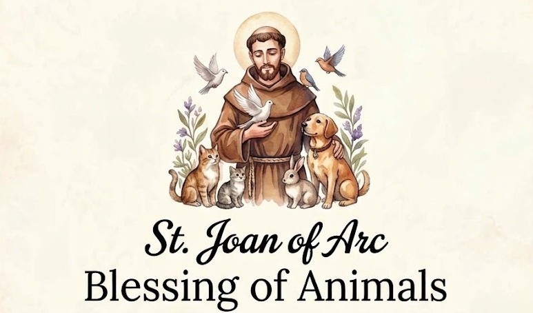 Blessing Of Animals Oct 2026 Half