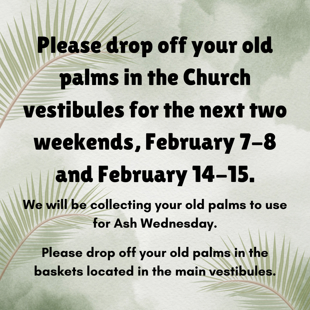 Old Palms Collection