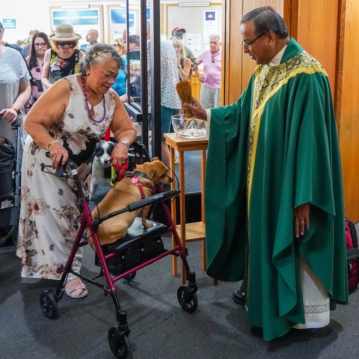 Blessing Of The Animals 3