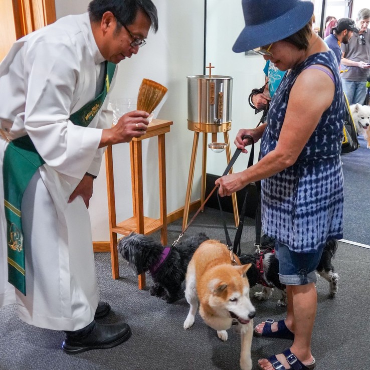 Blessing Of The Animals 4