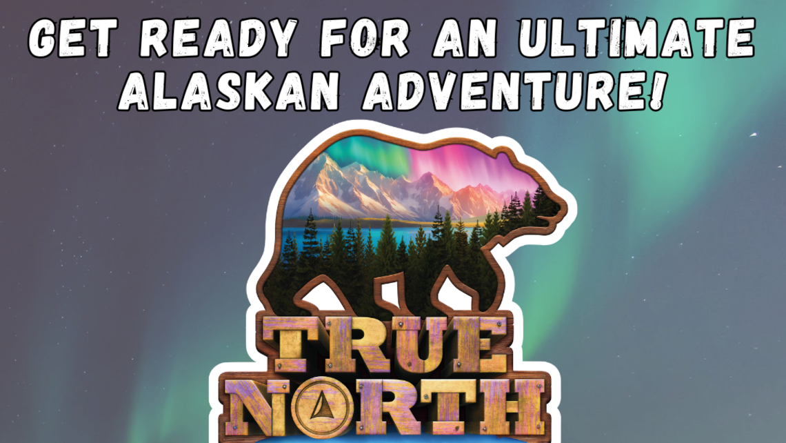 Northern Lights Photo With Quote Social Media Graphic 2
